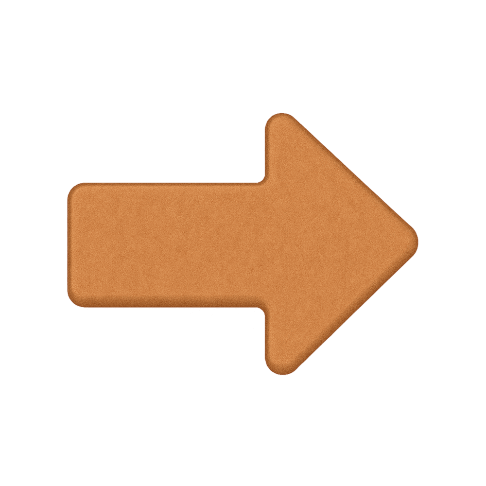 Explore Your Choices – Post 16 – Camden Learning